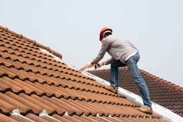 Best Roof Moss and Algae Removal  in Lennox, SD